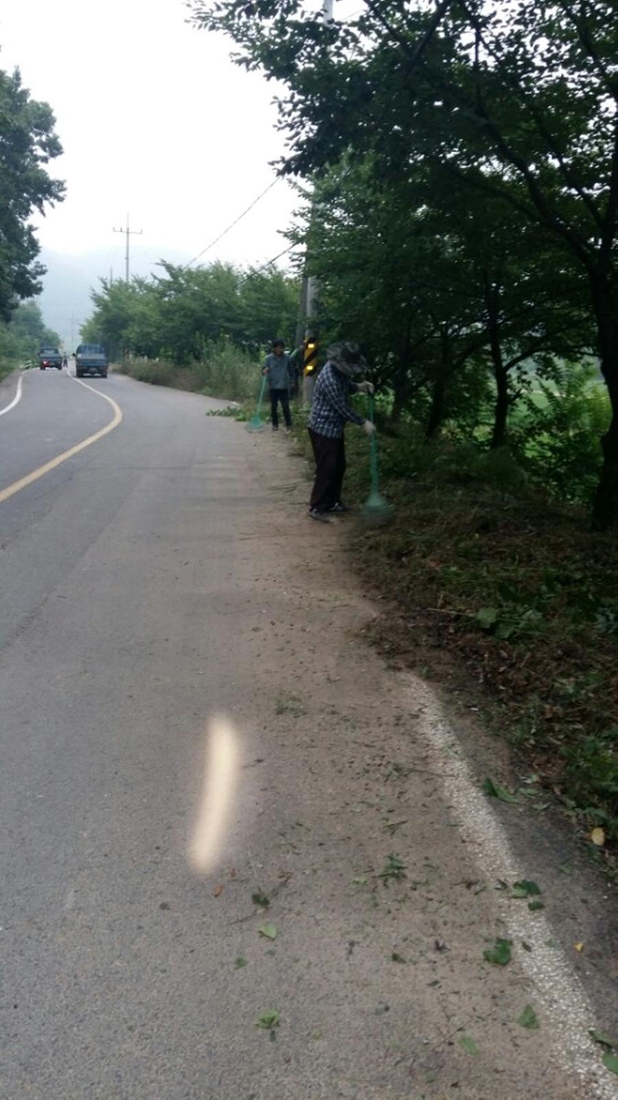 덕곡면 마을 대청소 실시