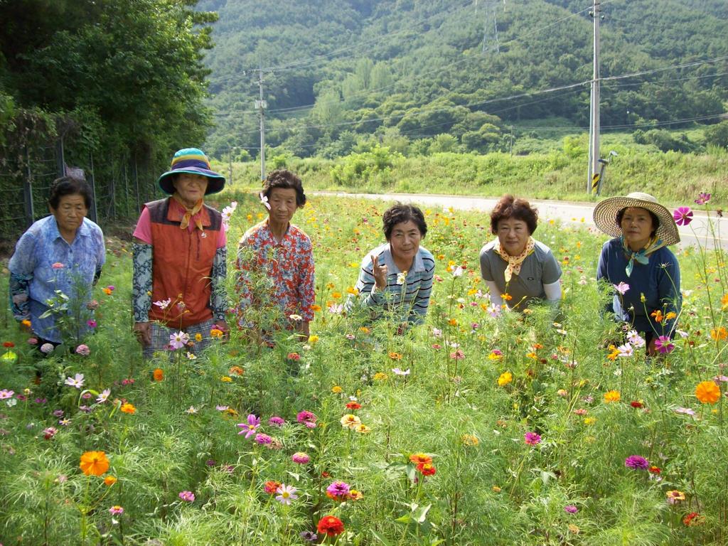 “덕곡면 야생화 공원으로 놀러오세요” 