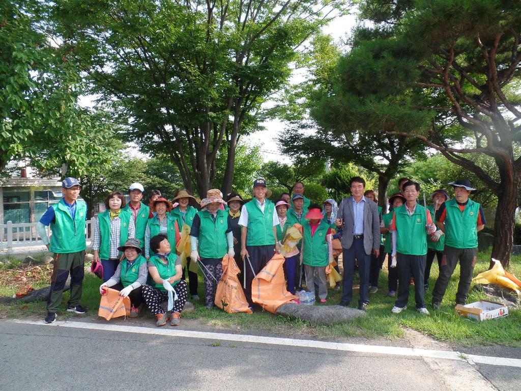 대병면 새마을협의회․부녀회, 환경정화 활동실시 