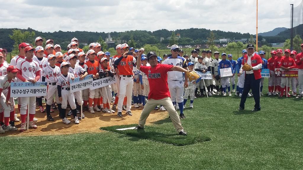 2017년 수려한 합천 영남 리틀야구대회 개최