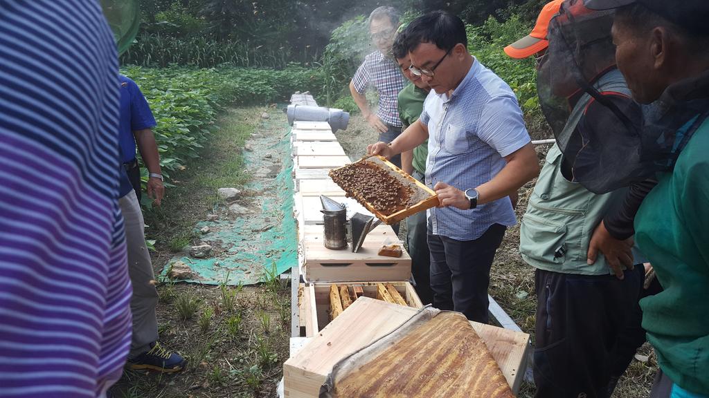 “벌 중에 으뜸 장원벌”양봉농가 보급 및 컨설팅