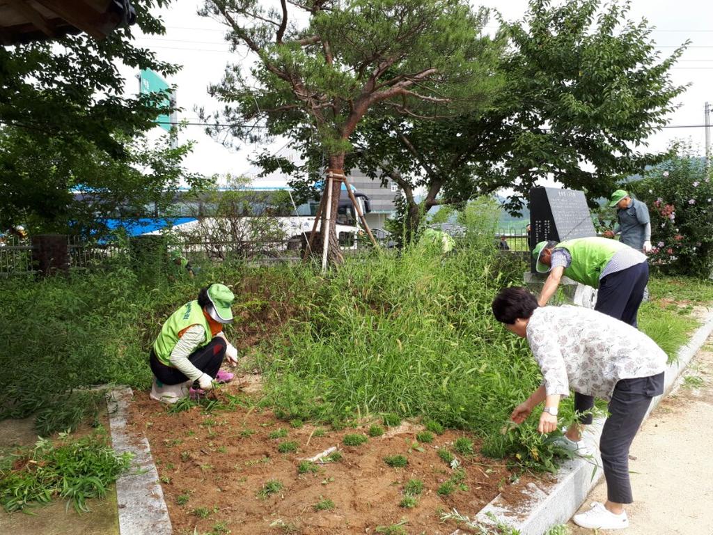 적중면 미타노인자원봉사클럽 환경정화활동 실시