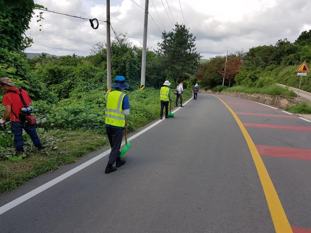 합천군, 도로변 풀베기 확대시행