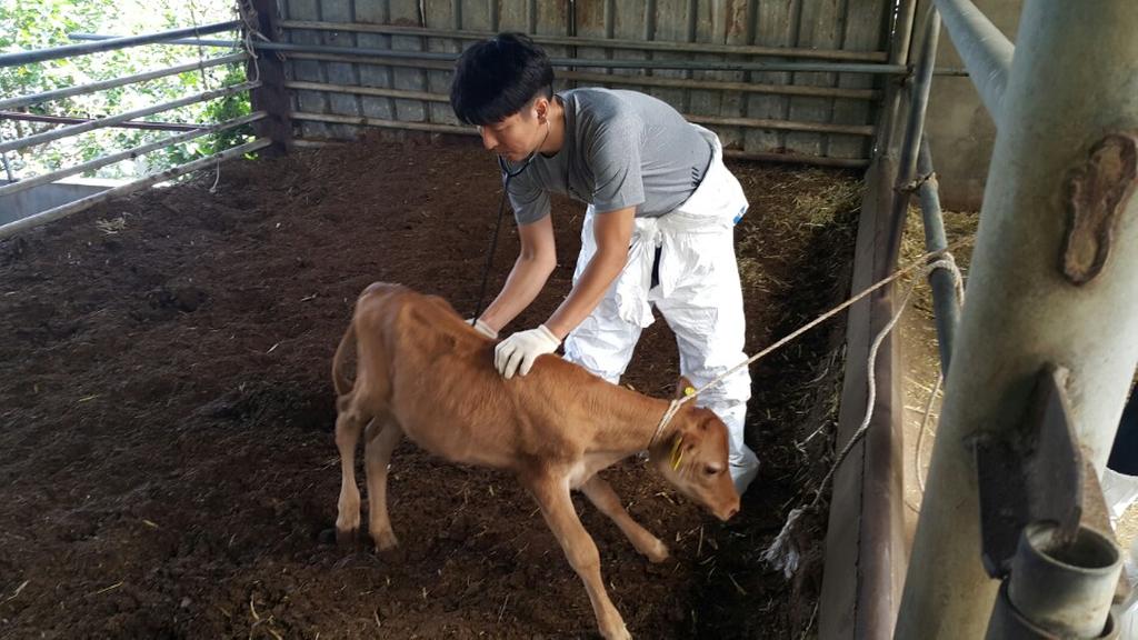 합천군, 가축 무료 순회 진료 실시