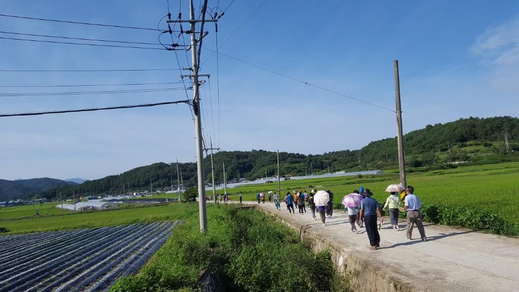 합천군 대양면민 건강걷기대회 개최