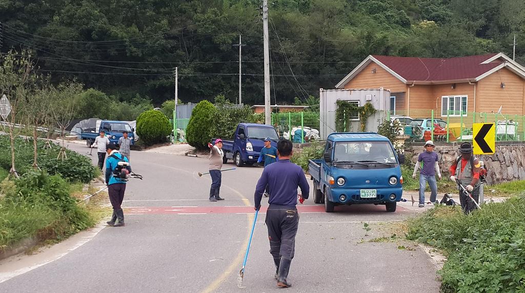 청덕면 도로변 풀베기 작업으로 일자리 창출효과까지 톡톡히..