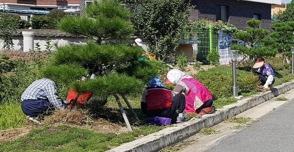 율곡면 추석맞이 환경정화활동
