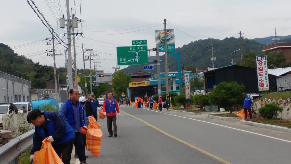 묘산면, 대장경세계문화축전 대비