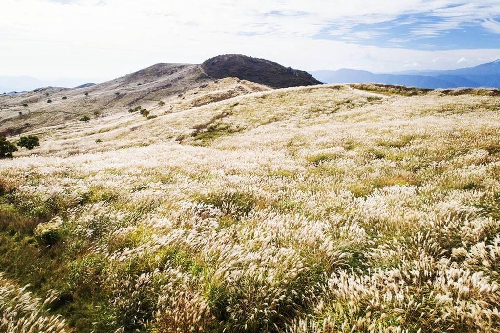 합천 황매산, 가을바람에 출렁이는 은빛억새 장관이뤄