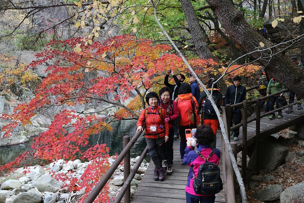 깊어가는 가을, 가야산의 단풍도 붉게 물들어