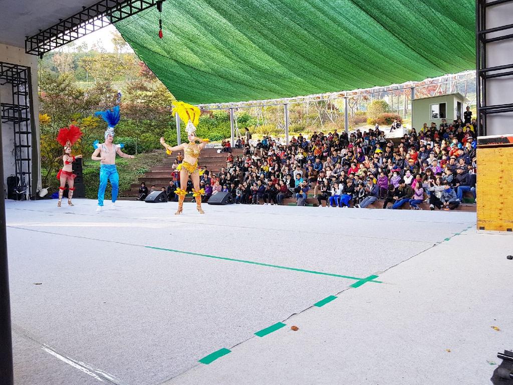 대장경축전장에 수준 높은 문화 예술 공연 펼쳐져 