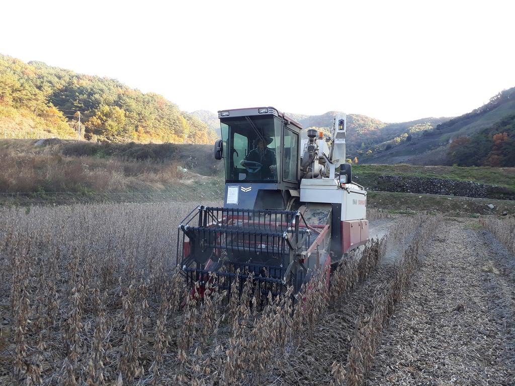 합천군 콩 보급종 채종단지 수확