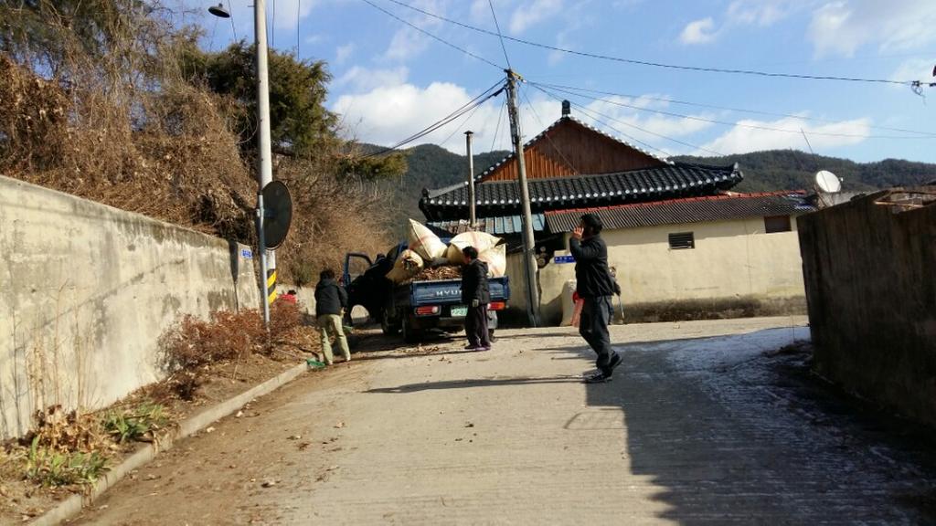 대병면 설맞이 국토대청결운동 펼처