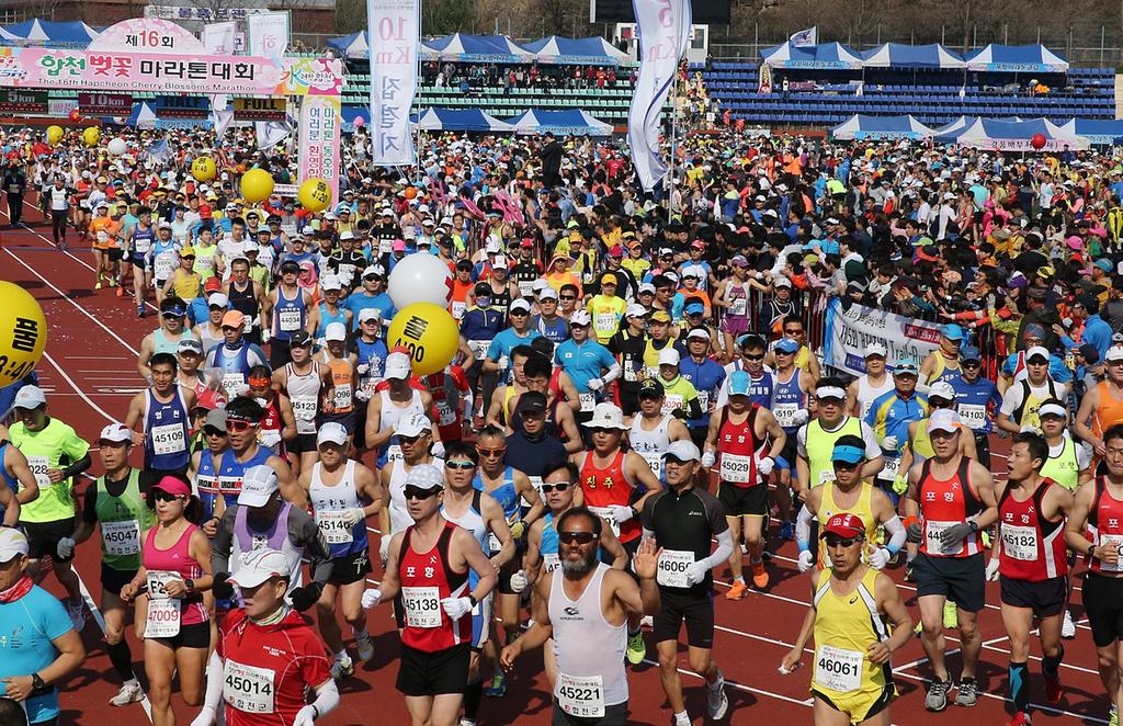 명품마라톤 축제! 합천 100리 벚꽃길 달려보자!