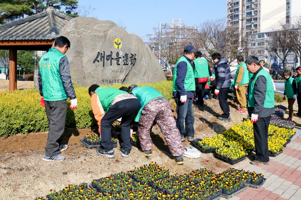 새마을운동합천군지회, 화사한 봄꽃으로 거리에 봄기운 가득