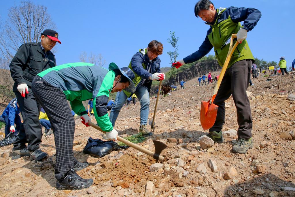 합천군, 2018년 식목일 행사 가져 