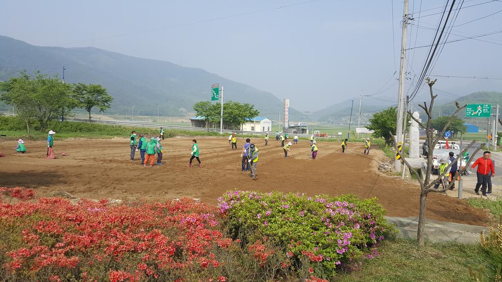 덕곡면, 민관협력 코스모스 경관지 조성