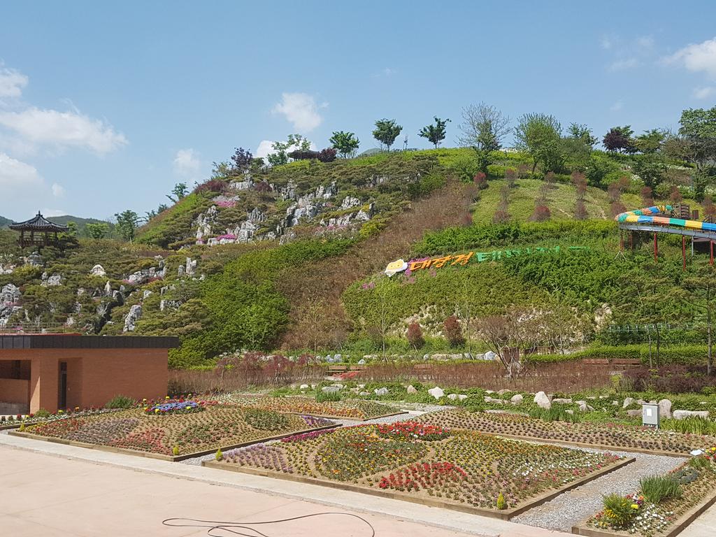 합천군 대장경테마파크, 봄꽃의 향연 속으로