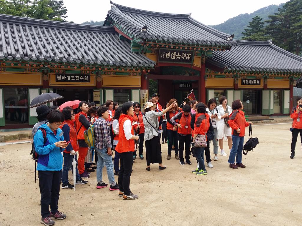 합천관광, Are you ready?