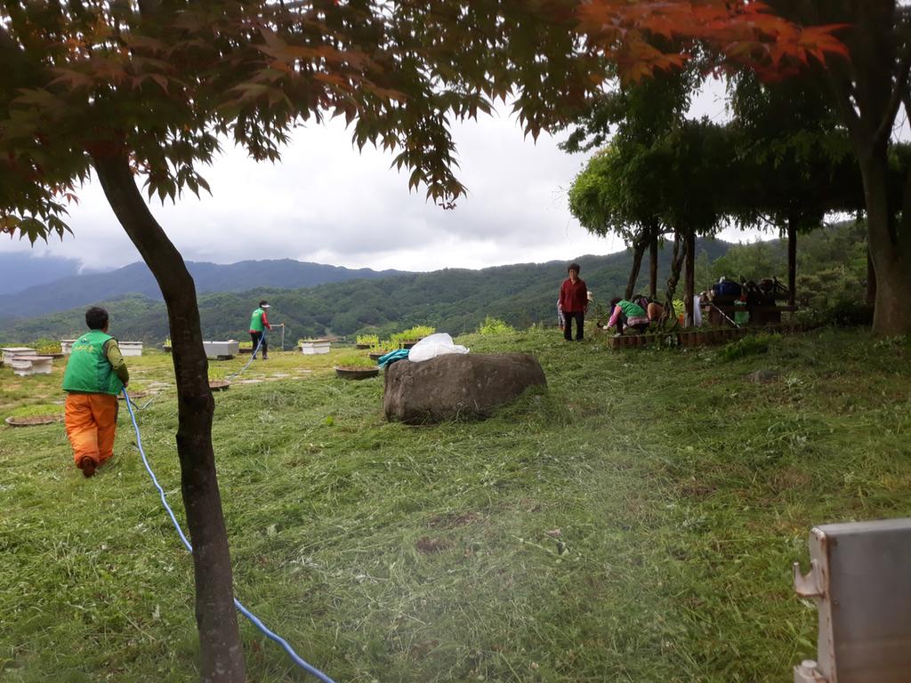 가야면 새마을협의회 해맞이공원 꽃밭 조성