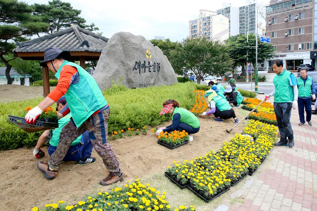 새마을운동합천군지회, 싱그러운 여름꽃 식재
