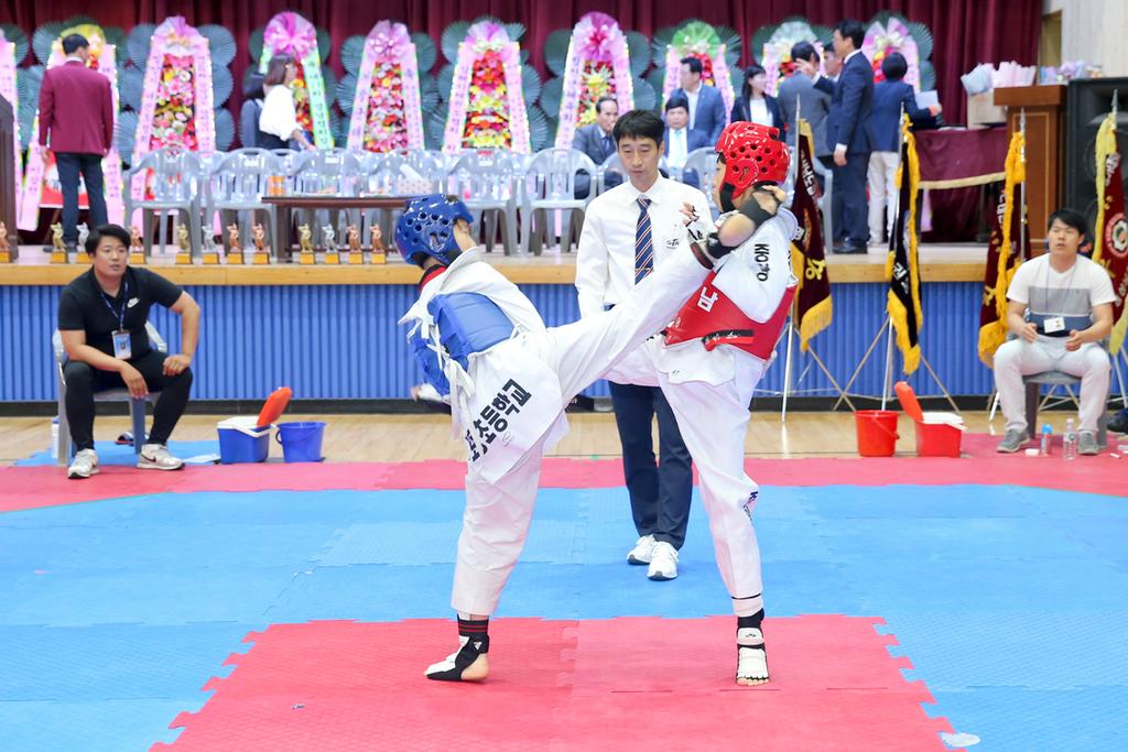 합천군, 제28회 경상남도협회장기 태권도 대회 성료