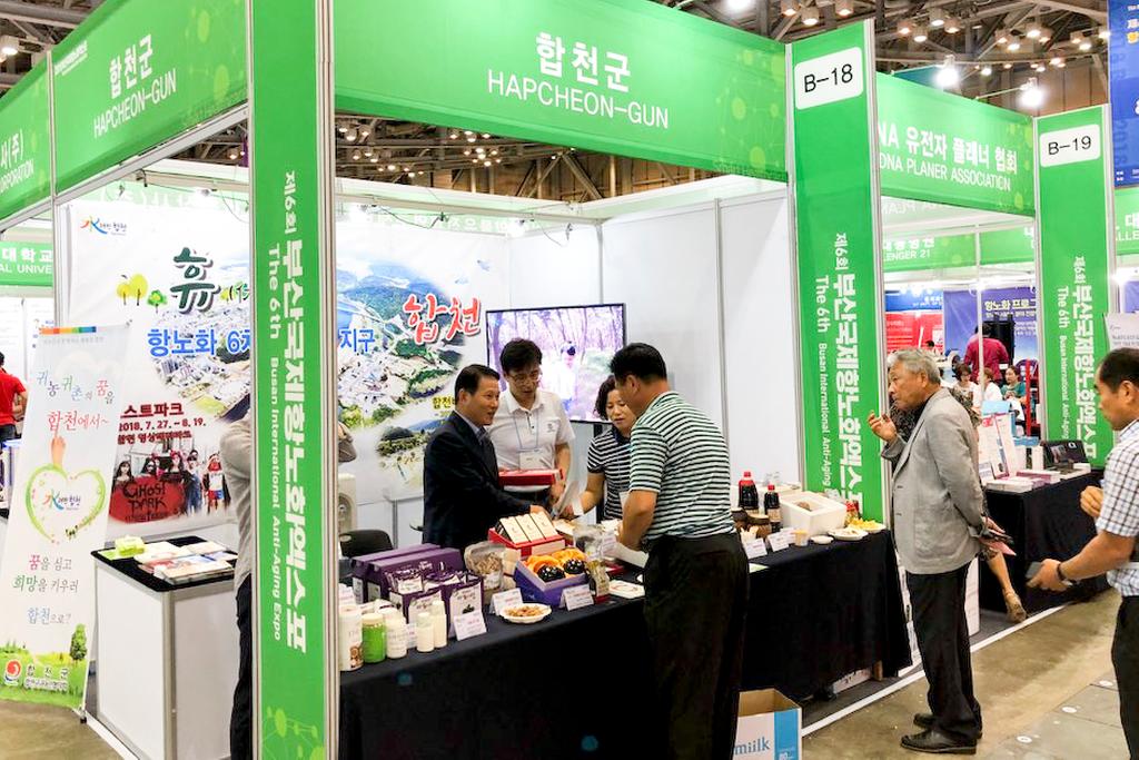 합천군“부산국제항노화 엑스포”참가 홍보