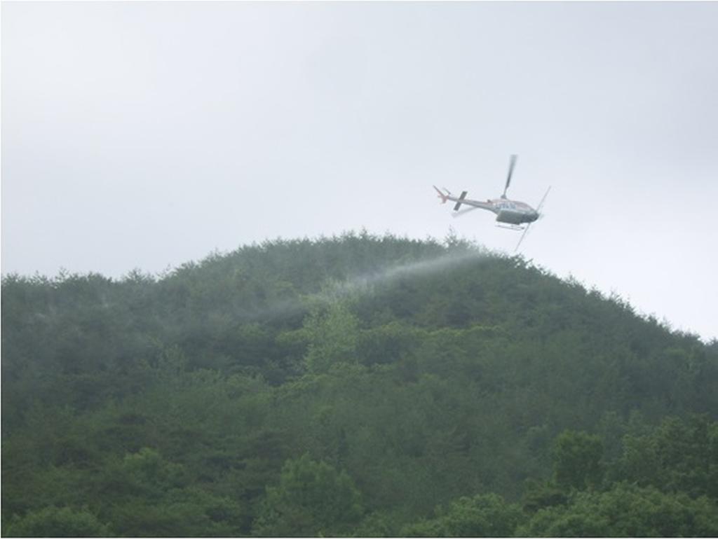 합천군“밤나무해충 항공방제”실시