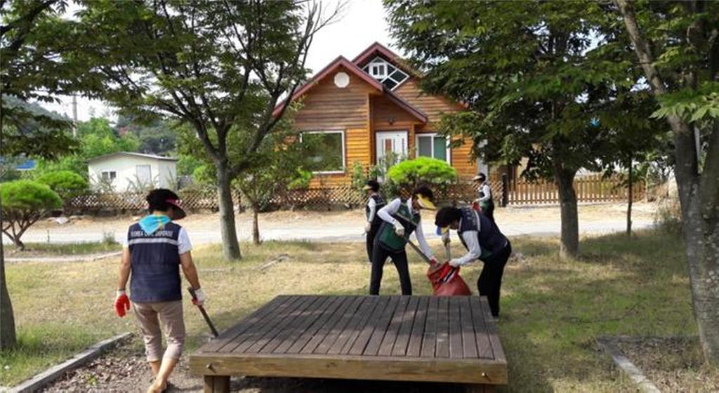 쌍백면 주부민방위대원 자연정화활동 실시