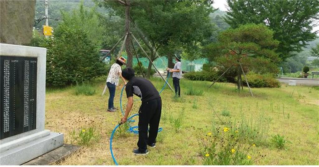 쌍백면 폭염으로 지친 수목관리에 최선 