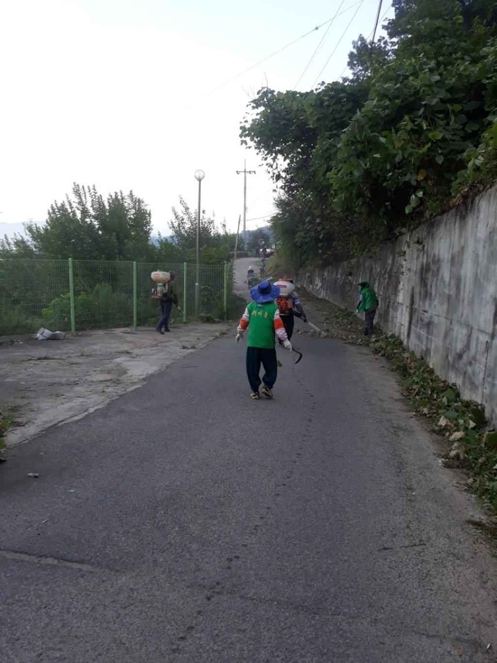 쌍책면 새마을협의회 풀베기 작업 구슬땀