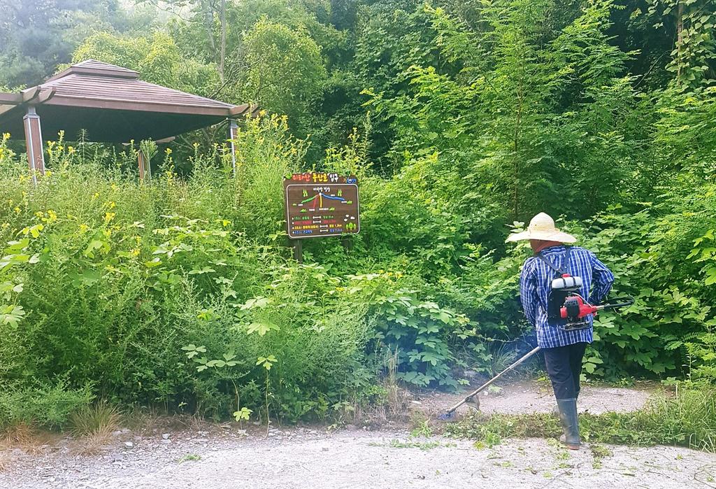 적중면, 등산객이 많은 가을철을 맞아 등산로 점검