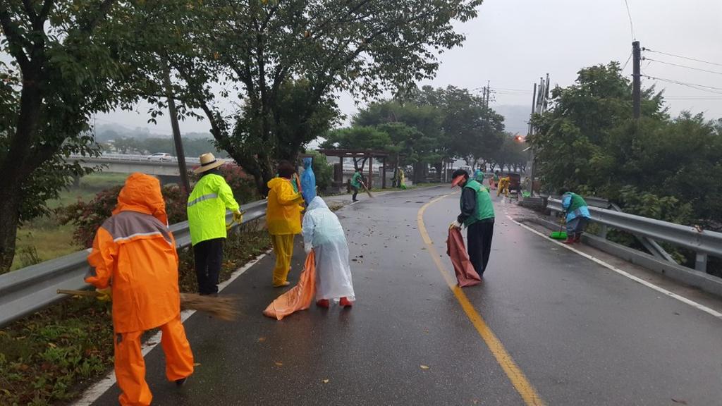 삼가면 새마을협의회․부녀회 환경정화 활동 실시