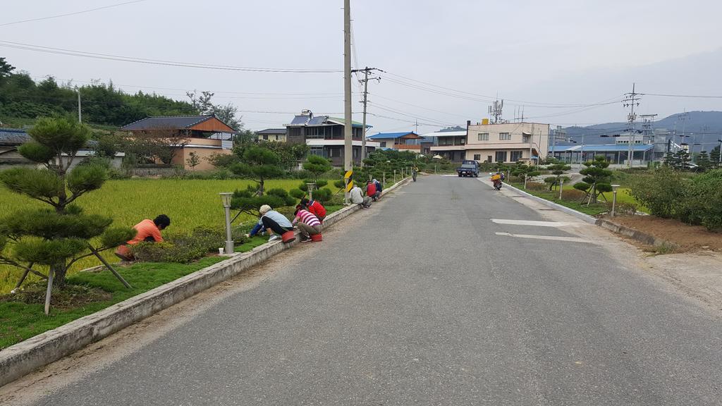 율곡면, 추석맞이 환경정화활동 실시