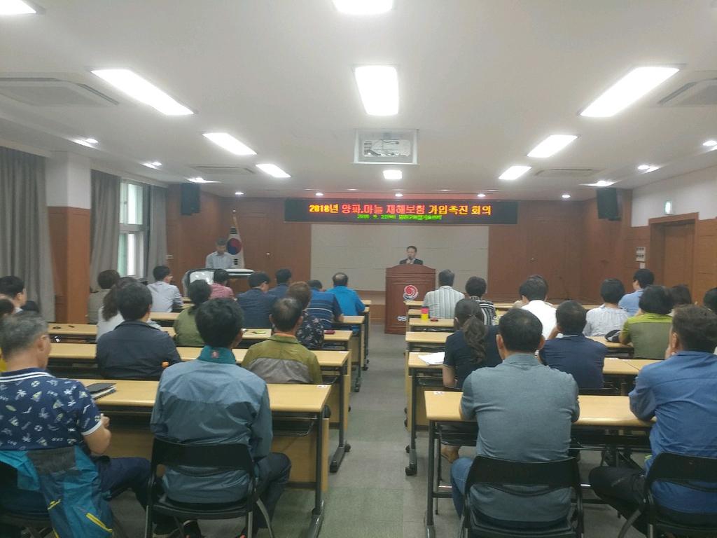 합천군, 양파·마늘 재해보험 가입 적극 권장