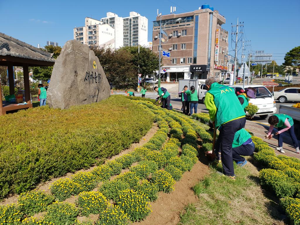  새마을운동합천군지회, 3차 아름다운 합천가꾸기사업 추진