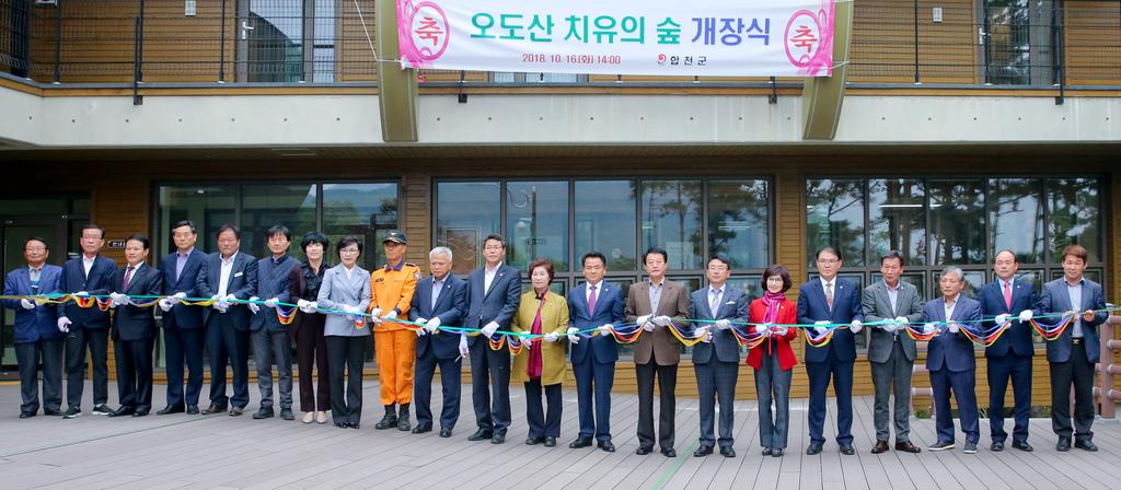 오도산 치유의 숲 개장식 개최, 치유프로그램을 통한 산림치유활동