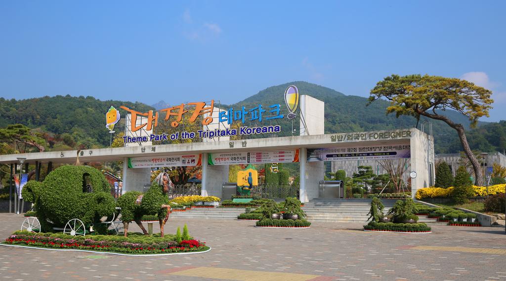 합천 대장경테마파크, 백팔만송이 국화 전시회 열려