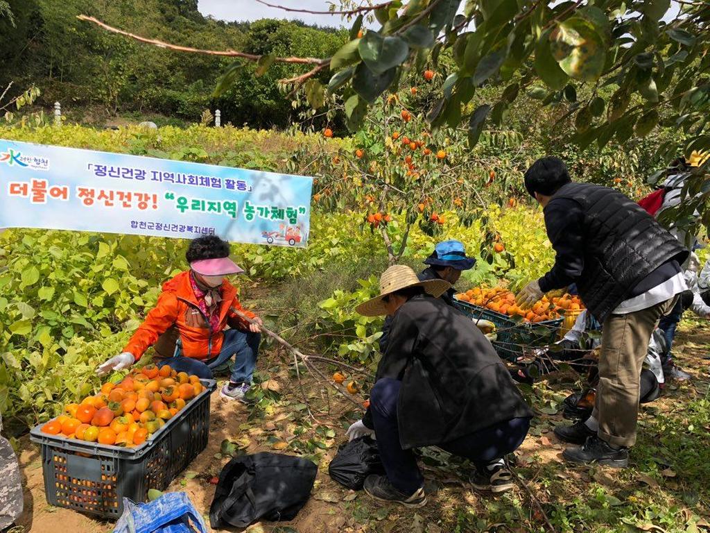 합천군, 정신장애인 지역사회통합 사업, '마음튼튼, 열매맺기!' 추진   