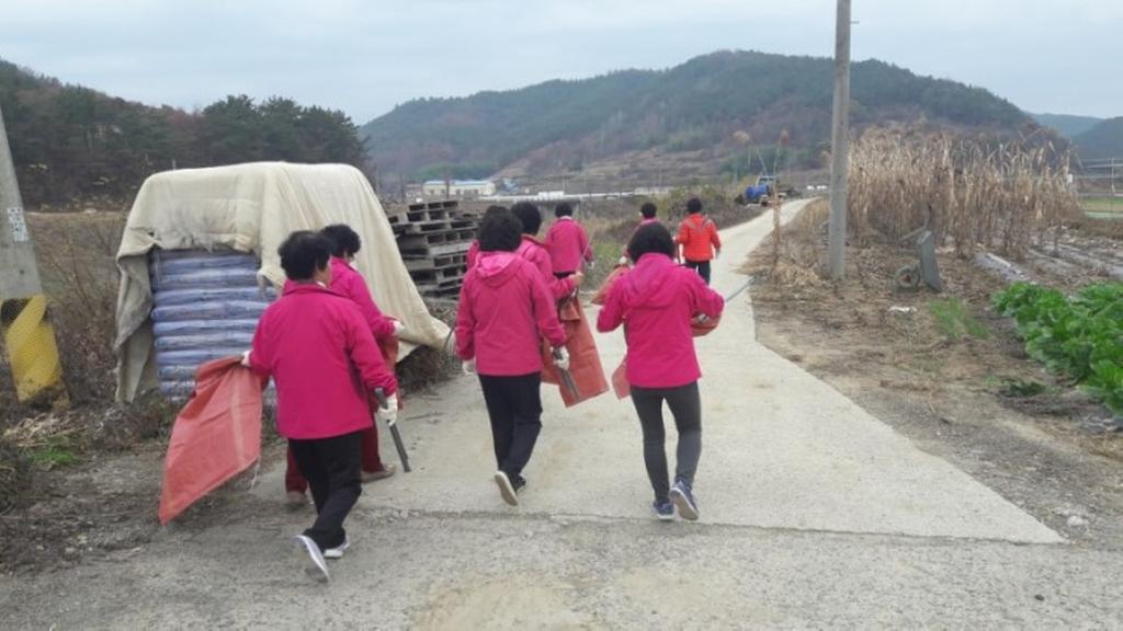 쌍백면 주부민방위대원 환경정화활동 실시