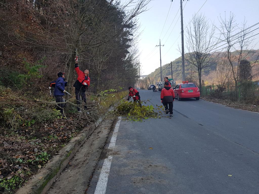 야로면, ‘산림연접지 인화물질 제거작업’실시 