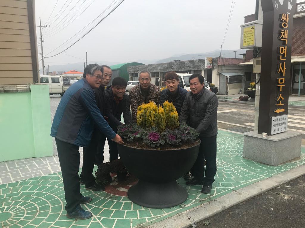 쌍책면 주민자치위원회 면소재지에 꽃양배추 심어