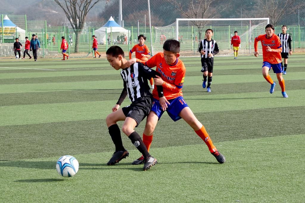 합천군, 동계전지훈련팀 유치로 지역경제에 활력
