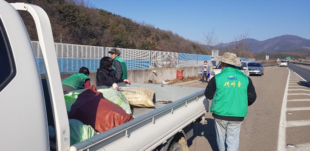 합천군 대양면 새마을협의회 국도 33호선 일대 환경정비 실시