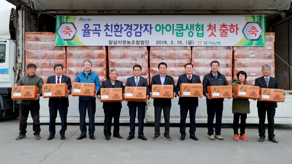 합천군 2019년산 겨울시설재배 친환경감자 아이쿱생협에 첫 출하