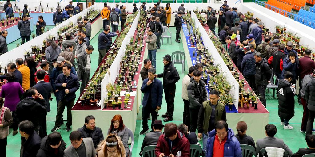 제1회 한국춘란 무명품(미등록품) 전국대회 성황리 마무리