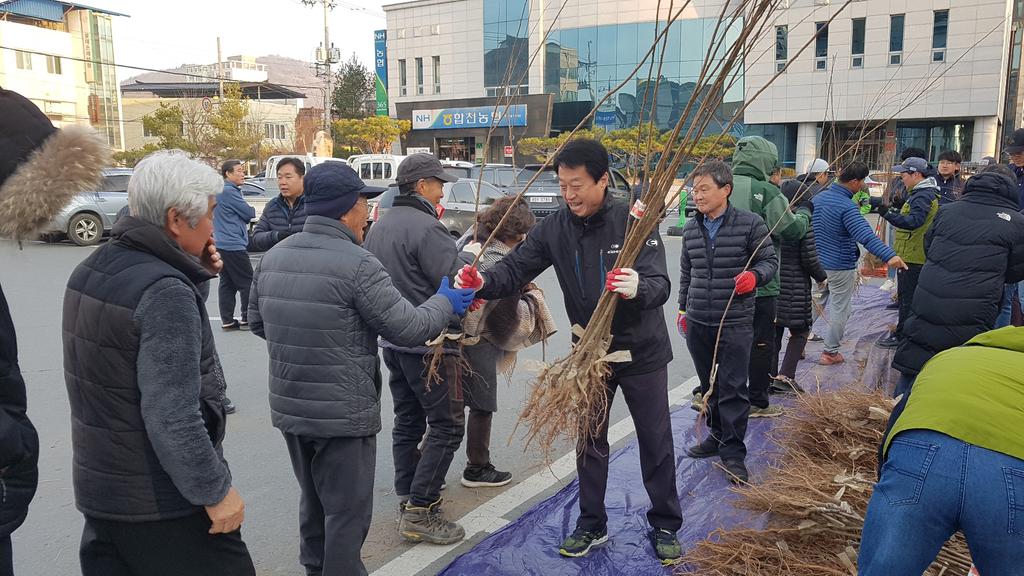 합천군, 내 나무갖기 행사 실시 