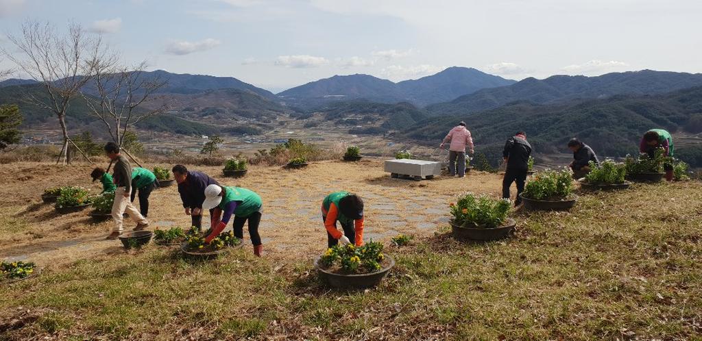 가야면 새마을 협의회·부녀회, 봄꽃 식재로 봄 맞아