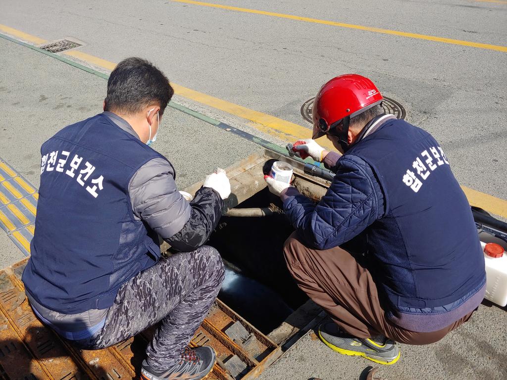 합천군보건소, 유충서식지 집중 방역소독실시