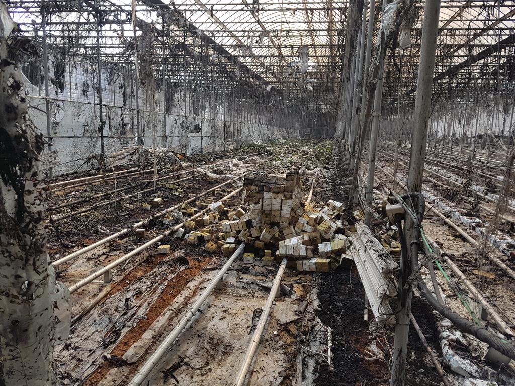 합천군 적십자 부녀회, 가야 화재피해 온실 잔해제거 지원 